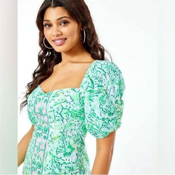 Lilly Pulitzer Daniela Stretch Dress Hopelessly Devoted Engineered - Picture 6 of 11